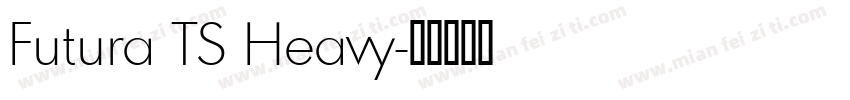 Futura TS Heavy字体转换